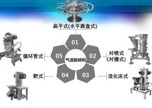 飬֪5cݣ